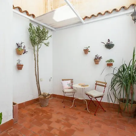 Apartment With Two Bedrooms And A Patio